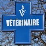 <a target="_blank" href="https://www.facebook.com/cliniqueveterinairedeprovence/">Clinique Vétérinaire De Provence</a>